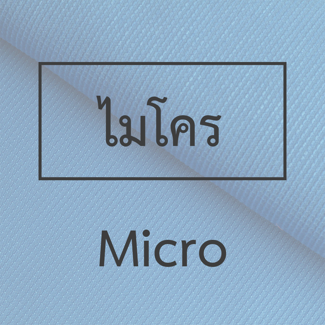 ไมโคร
